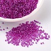 MIYUKI Delica Beads SEED-X0054-DB1340-1