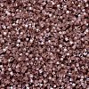 MIYUKI Delica Beads X-SEED-J020-DB1879-3