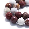 Natural Ocean Jasper Beads Strands G-P457-C05-06-2