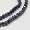 Natural Sapphire Bead Strands X-G-P271-3mm-13-4