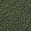 MIYUKI Delica Beads SEED-X0054-DB1135-3