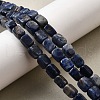 Natural Sodalite Beads Strands G-F791-C04-1