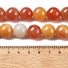 Natural Multi-Color Agate Beads Strands G-A261-B08-14mm-5