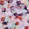 Frosted Glass Seed Beads SEED-N008-05-3