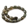 Tibetan Style dZi Beads Strands G-S389-A01-3