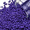 TOHO Round Seed Beads SEED-JPTR11-0048F-1
