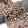 Natural Rhodonite Beads Strands G-C116-A83-02-1