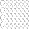 SOFPLATE 304 Stainless Steel Leverback Earring Findings STAS-SP0001-05B-1