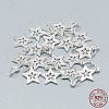 925 Sterling Silver Charms STER-T002-298S-3