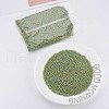 8/0 Glass Seed Beads SEED-S006-31-2