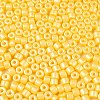 Baking Paint Pearlized Glass Seed Beads SEED-T008-03D-3