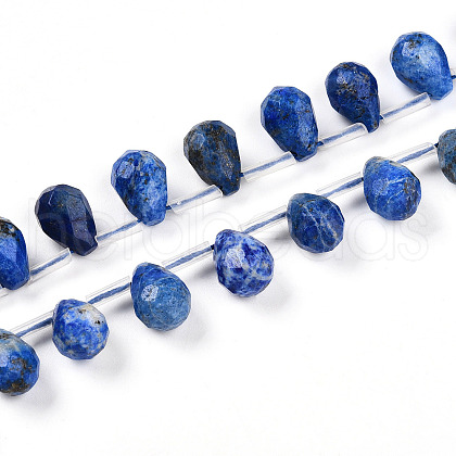 Natural Lapis Lazuli Beads Strands G-R435-15D-01-1