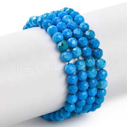 Natural Howlite Beads Strands G-C025-02B-10-1