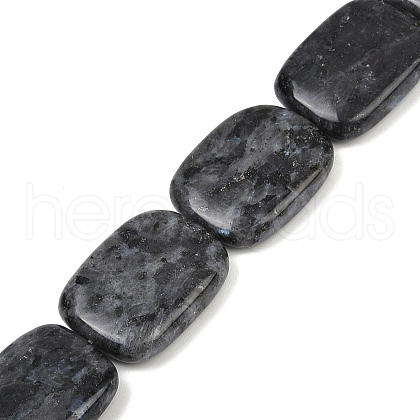 Natural Larvikite Beads Strands G-U018-H08-01-1