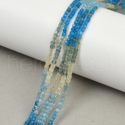 Natural Blue Green Yellow Apatite Beads Strands G-NH0050-B01-01-1