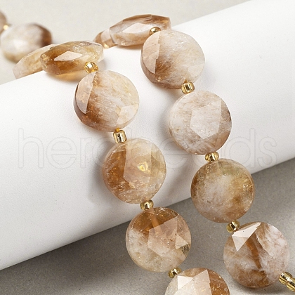 Natural Citrine Beads Strands G-C116-A173-03-1
