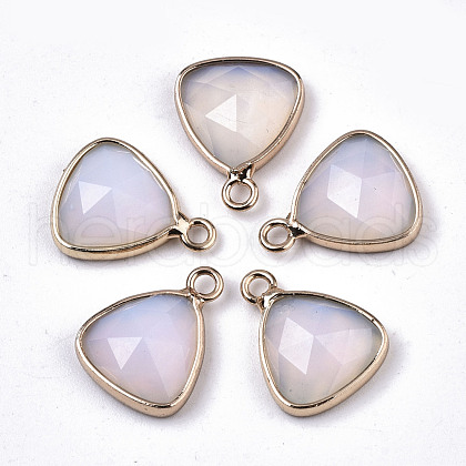 Opalite Charms G-N326-48F-1