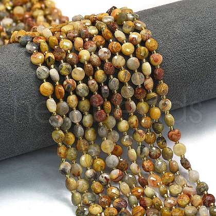 Natural Crazy Agate Beads Strands G-K389-B71-01-1