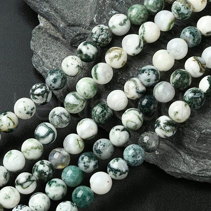 Natural Tree Agate Beads Strands G-K194-8mm-02-1