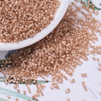 MIYUKI Delica Beads SEED-X0054-DB0622-1