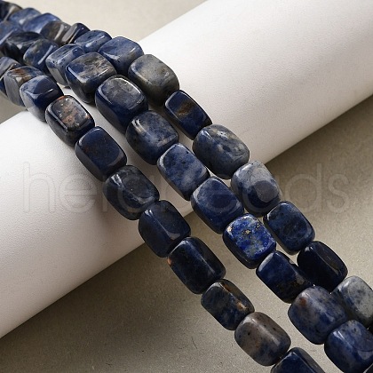 Natural Sodalite Beads Strands G-F791-C04-1