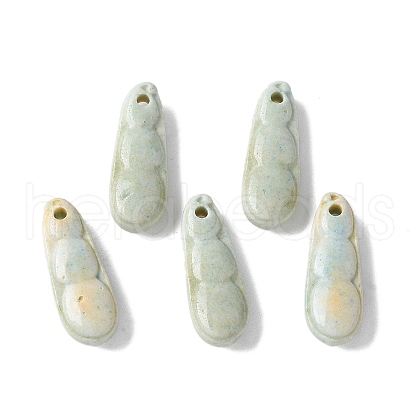 Natural Rainbow Alashan Agate Charms G-G194-05B-1