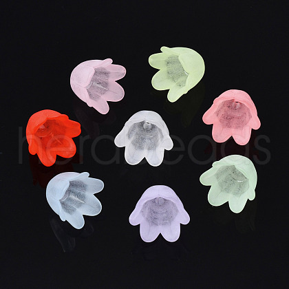 Transparent Acrylic Bead Caps FACR-N005-002-1