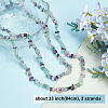 Olycraft 2 Strand Natural Fluorite Beads Strands G-OC0002-27-4