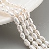 Natural Cultured Freshwater Pearl Beads Strands PEAR-P062-06E-1
