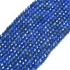 Natural Blue Agate(Dyed & Heated) Beads Strands G-A260-A12-01-2