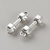 Tibetan Style Alloy Pendants FIND-WH0609-92AS-04-2