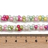 Handmade Lampwork Beads Strands LAMP-S070-12T-4