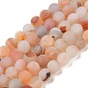 Natural Red Agate Beads Strands G-A248-A03-01-2