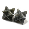 Natural Labradorite Beads G-A206-01B-58-2