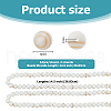 2 Strands Natural Freshwater Shell Round Beads Strands SHEL-HS0001-09-2