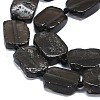 Natural Tektite Beads Strands G-K245-J16-01-3