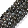 Natural Gemstone Labradorite Round Beads Strands G-E251-33-6mm-02-1
