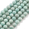 Natural Amazonite Beads Strands G-L618-A01-10mm-2