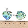 Natural Abalone Shell/Paua Shell Pendants SSHEL-M024-01-2