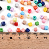 Opaque Colours Glass Seed Beads SEED-N007-17A-4