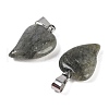 Natural Labradorite Heart Pendants G-H073-03P-08-2
