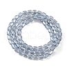 Electroplate Glass Beads Strands EGLA-D031-01-03-3