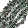 Natural Jade Beads Strands G-Z081-A02-2