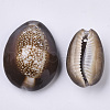 Natural Cowrie Shell Pendants X-SSHEL-N034-24-3