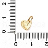304 Stainless Steel Charms STAS-R159-39G-3