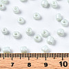 6/0 Glass Seed Beads SEED-S058-A-F408-4