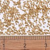 MIYUKI Delica Beads SEED-X0054-DB1201-4