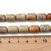 Natural Aqua Terra Jasper Beads Strands G-L624-C03-12x8mm-4