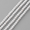 Shell Pearl Beads Strands PEAR-R064-94-1