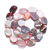 Natural Botswana Agate Beads Strands G-K245-J10-B01-2